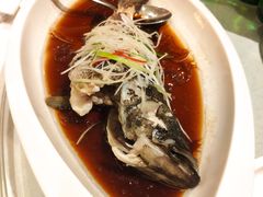 清蒸深海石斑鱼-豫园万丽酒店-万丽轩中餐厅(河南南路店)