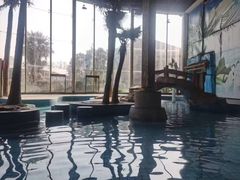 -金孔雀温泉旅游度假村