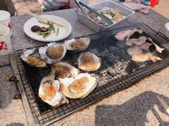 -吴淞炮台湾湿地森林公园烧烤区