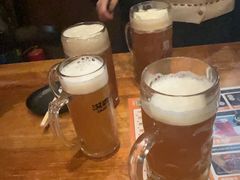 -汉森熊啤酒屋(双塘东路店)