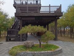 -天津东丽湖风景区