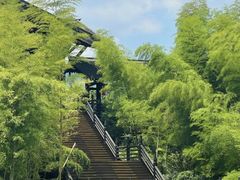 -大唐贡茶院