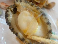 会跳舞的蒜蓉清蒸鲍鱼（十头鲍）-覃记海鲜美食餐厅