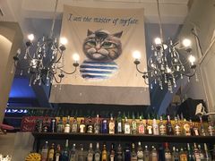 -猫咪博物馆(顶澳仔猫街店)