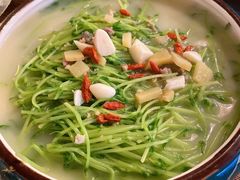 上汤豆苗-春风十里烧烤音乐吧(实力乐队驻唱三元里店)