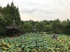 -乌镇望津里精品酒店