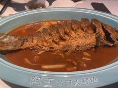 -阿五黄河大鲤鱼(英协路店)