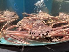 -许家菜.艺创菜(仁和新城店)