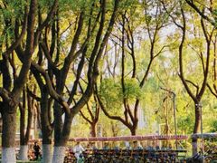 -昆山城市生态森林公园