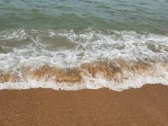 -渡海小渔村.老辈日照菜