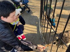 -前小桔亲子创意农场·草莓采摘·露营烧烤