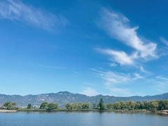 -野鸭湖国家湿地公园