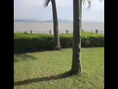 -深圳湾公园(南山区)