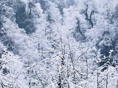 -龙苍沟森林公园