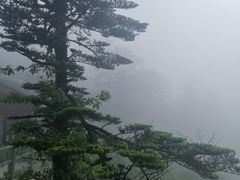-峨眉山风景名胜区