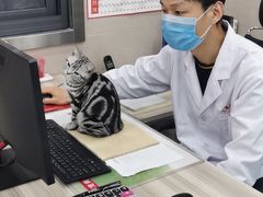 -万博宠物医院·手术·诊疗(未央凤城五路店)