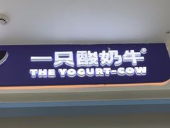 -一只酸奶牛(双流万达广场店)