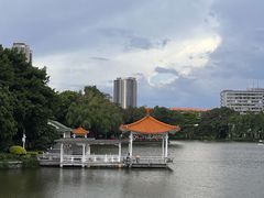 -荔湾湖公园