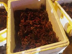 -赤甲皇(仙霞路店)