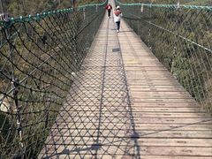 -石燕湖生态旅游景区