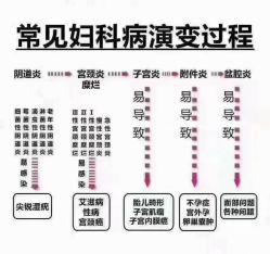 -安吉拉青春化管理中心