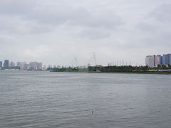 景观-万绿园