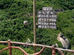 -三亚蜈支洲岛旅游区