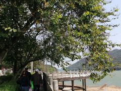 -飞霞风景名胜区