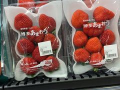 -永旺(大阪巨蛋城店)