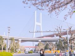 -上海南浦大桥长途旅游客运站