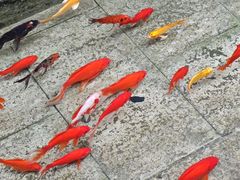 -海窝子古镇