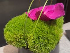 -柿合缘新京菜(国金中心商场店)