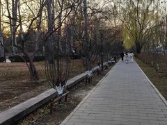 -元大都城垣遗址公园