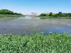 -天津东丽湖风景区