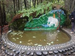 -卡定沟景区