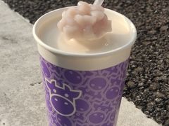 -一只酸奶牛(八一路店)