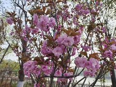 -郑州方特梦幻王国