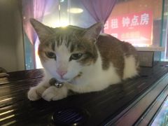 镇店之宝-质烤烤物·活烤海鲜(质烤总店)