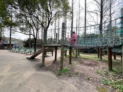 -上海滨江森林公园