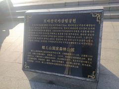 -帽儿山国家森林公园