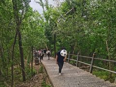 -紫金山山顶公园