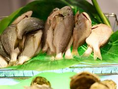 -马哥孛罗咖啡厅·Cafe Marco (厦门马哥孛罗东方大酒店)