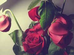 -新辣道鱼火锅(世纪金源购物中心店)