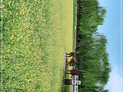 -北坞公园