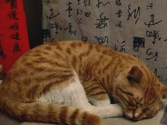 -悟饮门市景店