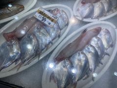 -拉完海鲜大排档(温岭店)