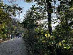 -紫金山山顶公园