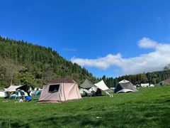 -武陵山森林公园