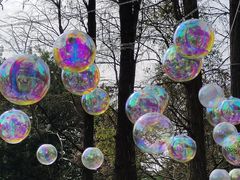 -人民公园(罗湖区)