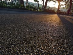 -东莞植物园